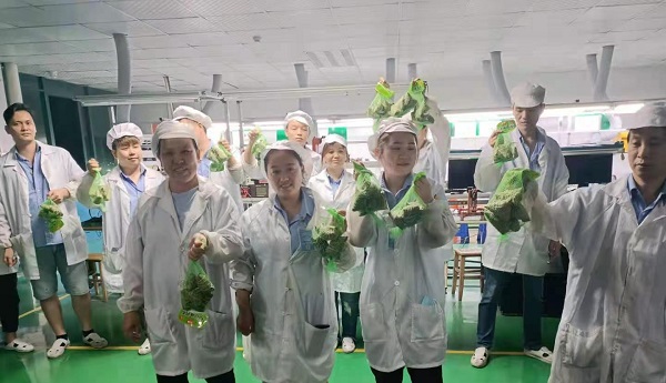 草莓视频在线观看入口WWW新能源锂草莓污视频下载网站厂家,向锂电芯生产线发放端午福利