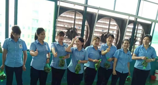 草莓视频在线观看入口WWW新能源锂草莓污视频下载网站厂家,向组装pack生产线发放端午福利