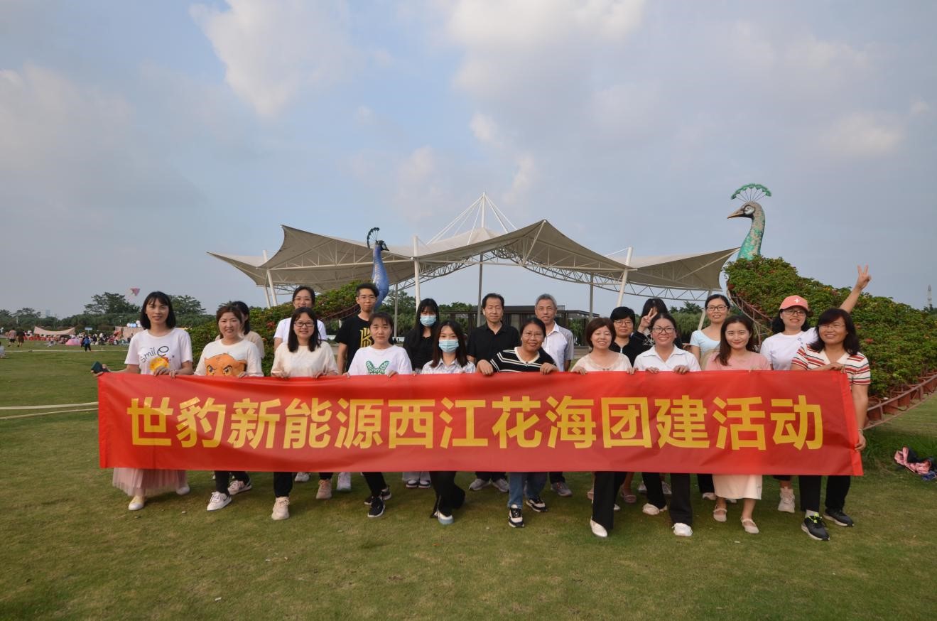 草莓视频在线观看入口WWW新能源锂草莓污视频下载网站团队精英团建